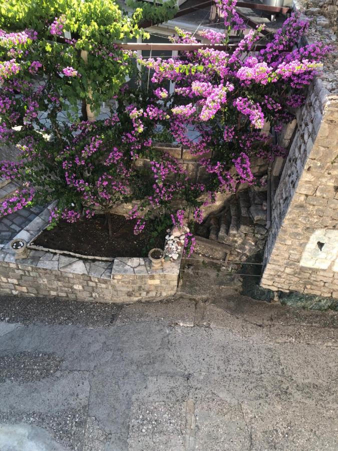 Apartments Rafailovic Ljubo ราไฟโลวีซี ภายนอก รูปภาพ
